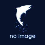 noimage